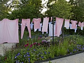 Art in action -- pink laundry on a clothesline in the garden