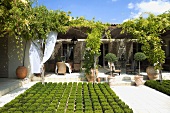 Low border and planters in front of the terrace of a Mediterranean villa