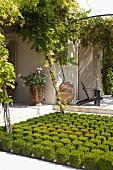 Low border with topiary cubes in front of the corner of a house with planters