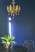 Brass chandelier in front of a blue wall and a cactus plant on a wooden table