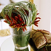 Red chilli peppers and decorative grass in a glass vase with a gift next to it