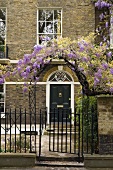 Garden gate with purple flowered vine in front of a townhouse with a brick facade