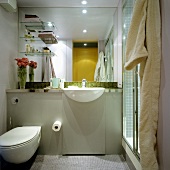 Badraum mit WC und Waschtisch vor vollflächigem Wandspiegel