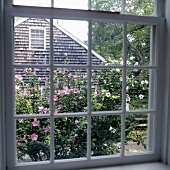Blick durch Sprossenfenster auf Garten und Nachbarhaus