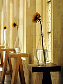 Sonnenblume in Vase auf Holz Bartischen vor Natursteinwand
