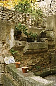 A Mediterranean square with a natural stone wall and plants on a stone shelf