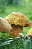 Wooden carved mushroom garden ornaments