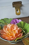 Flower decoration in bowl