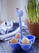 Eier in blauem Eierbehälter aus Kunststoff mit Huhnfigur