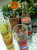 Bottle of cranberry soda and flowers in pot on table