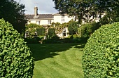 An English country house garden with box hedges