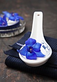 Blaue Ritterspornblüte auf Porzelllanlöffel und gefaltetem Stoff