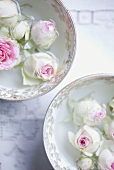 weiße Rosenblüten in Schale mit Wasser gefüllt