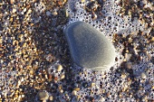 Stone in foaming water