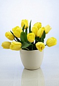 A bunch of yellow tulips in a white ceramic vase