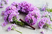 A wreath of baby primrose leaves and flowers being made