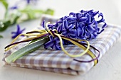 A blue hyacinth on a napkin as a place decoration