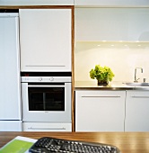 Detail of a kitchen with white cupboard and fitted appliances