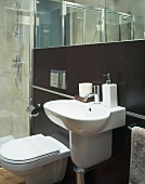 Designer sink with bathroom accessories and toilet in front of reddish brown wall paneling and mirror