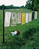 Tablecloths drying on a washing line in the garden