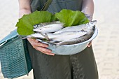 Female angler holding a bowl of freshly caught fish