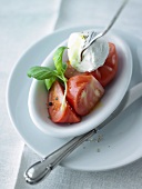 Tomatoes with mozzarella and basil