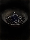 Squid ink pasta with caviar against black background