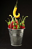 Chillies in a metal bucket