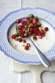 Woodland strawberries on a plate with a spoon