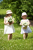 Two little girls with marguerites in grass