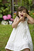 A little girl eating cherries in a garden