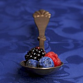 Berries on a spoon