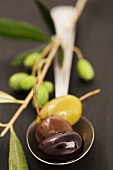 Three different olives and an olive twig