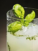 Gin with basil