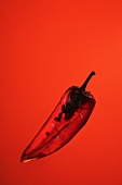 A chilli pepper against a red background