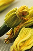 Courgette with flowers (close-up)