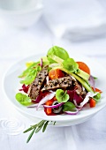 A colourful mixed salad with beef strips and avocado