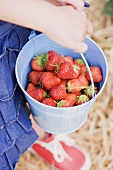 A child holding a bucket of fresh strawberries
