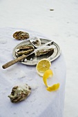 Oysters with salt and lemon