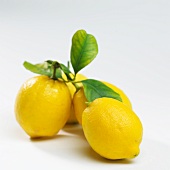 Lemons with leaves