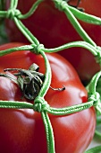 Tomatoes in a green string bag (close-up)