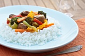 Turkey with vegetables and rice