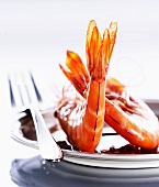 Cooked giant prawns (close-up)