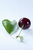 Cherry with a leaf