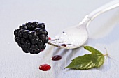 A blackberry on a fork