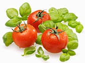 Freshly washed tomatoes and basil