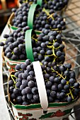 Red grapes in cartons for sale