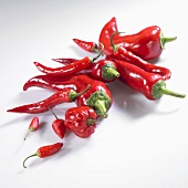 Red pointed peppers, mini peppers, chilli peppers and piri-piri