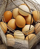 Several eggs in a wire basket