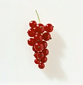 Redcurrants on white background
